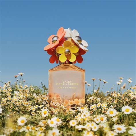 who sells daisy perfume